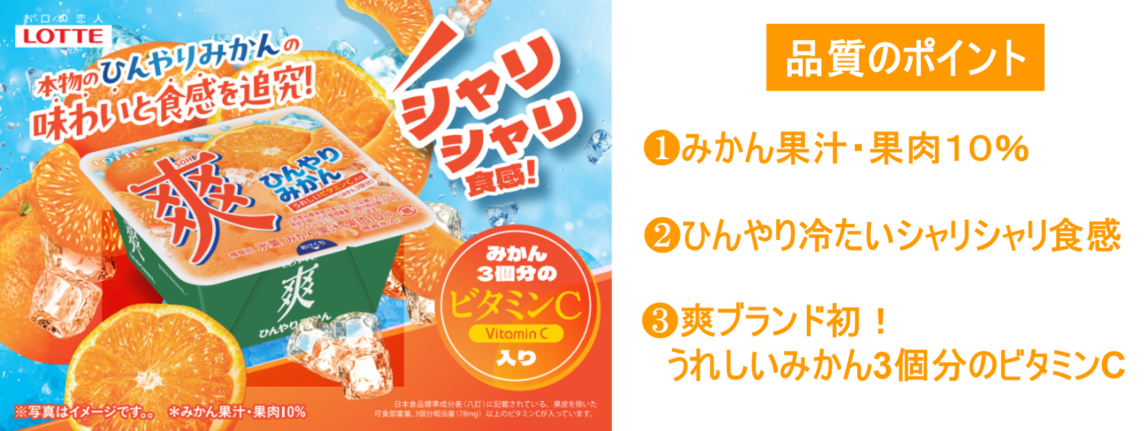 夏に無性に食べたくなる！あの、シャリシャリ食感を追究「爽 ひんやり